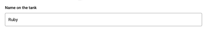 Text, as the shopper's option panel draws it on the default theme. A line of the shopper's own words, such as a name to print or engrave.