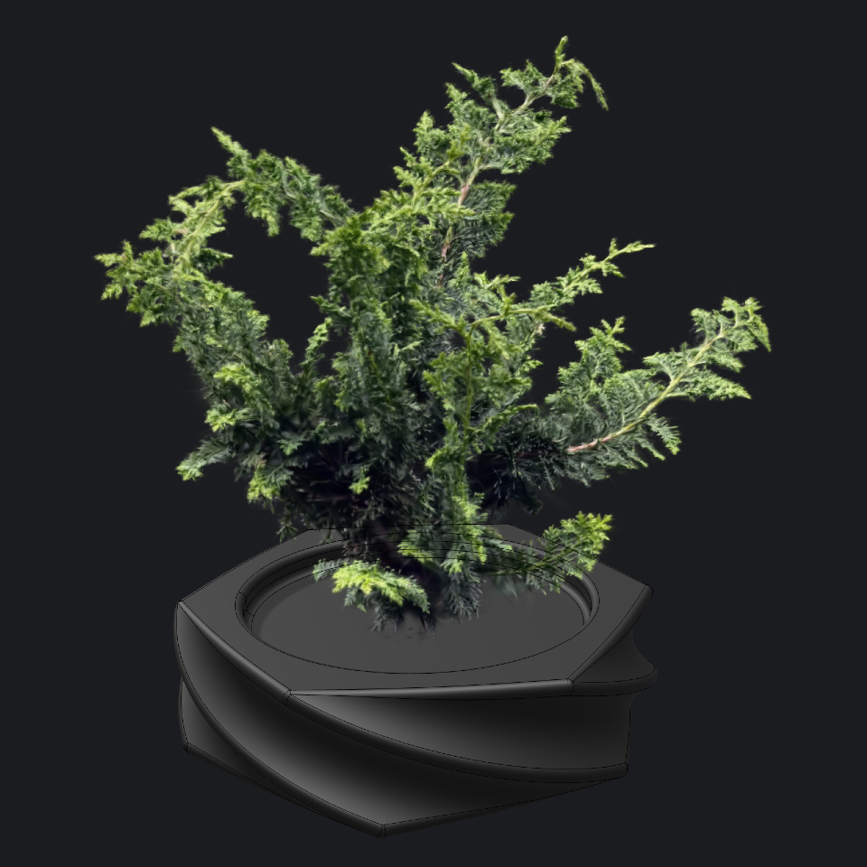 3D Plant Gaussian Splatting picture