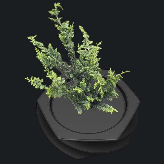 Animation setup 3D Gaussian Splatting picture Animation setup 3D Gaussian Splatting picture